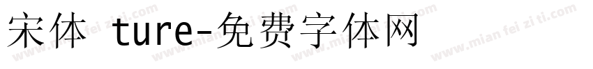 宋体 ture字体转换